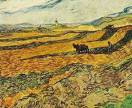 ploughman
