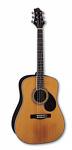 Western Guitar